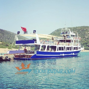 cesme-org-1